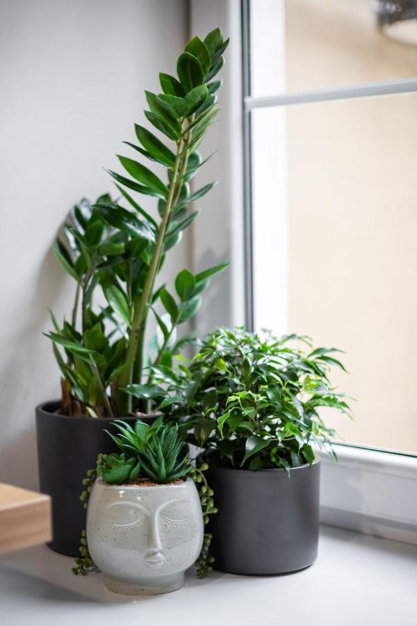 #Stayhere - Cozy 1Bdr Apartment Vilnius Old Town 外观 照片